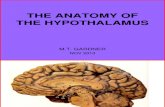 1. Anatomy of the Hypothalamus 2013 %5b1%5d
