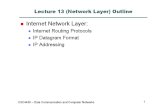 13 Network Layer