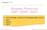 Lecture 16- Routing Protocols Part 1