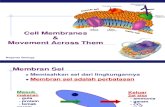 08 Cell Membranes 2009