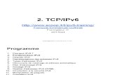 IPv6 0x02 TCP/IPv6