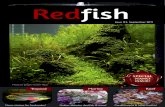 Redfish Magazine 2011 September