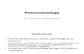 2 Phenomenology