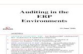 auditing in SAP environment.ppt