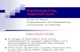 Perinatal Asphyxia for Level 5 Mbchb p