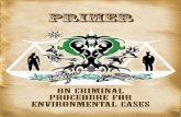 Crim Pro on Envi Cases