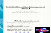 MG672 Oil and Gas Management Summary 1