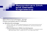 II.4 Biotechnology & rDNA