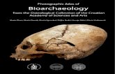 Photographic Atlas of Bioarchaeology from the Osteological Collection of Croatian Academy of Sciences and Arts