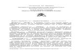 Dictionar de Sedimentologie-petrologie Sedimentara-sisteme Depozitionale
