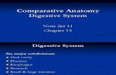 CA Section 13- Digestive System (Chapter 13) [EDocFind.com]