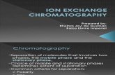 01 Ion Exchange Chromatography