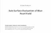 Final Presentation for subsurface evaluation of blue peral field