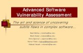 Advanced Software Vulnerability Assessment