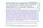 236_Novel Molecular Cytogenetic Techniques for Identifying Complex Chromosomal Rearrangements Technology and Applications in Molecular Medicine