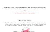 Lecture Synapses, Properties & Transmission Dr. Roomi