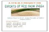 25209640 Rice Export Project