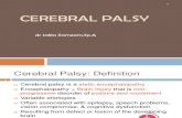 7.25 Cerebral Palsy 1