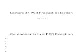 Lecture 34 PCR Product Detection