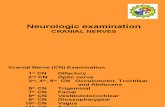 Cranial Nerves.pdfl