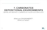 Depositional ENV Carbonates