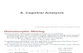 8 Cepstral Analysis