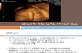 Biophysical Profile Antenatal Ultrasound