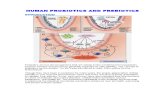 A review on role of beneficial microorganisms and prebiotics in nutrition and healthcare and in supporting  other therapeutics and future market of probiotics