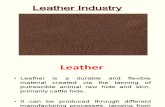Leather Industry Sep 17 2013