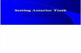 14. Set Anterior Teeth_1