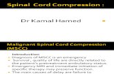 Last Malignant Spinal Cord Compression (Mscc)