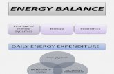 Energy Balance Ppt