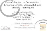 Data Collection Mini Skills April 07