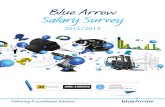 BA Salary Survey 2012