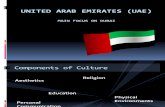 Dubai and its Culture