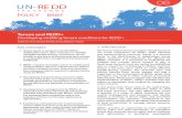 UN-REDD Programme Policy Brief Tenure and REDD+