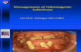 Odontogenic Infection Ettinger