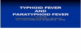 thyphoid fever.ppt