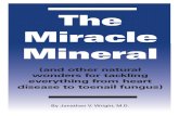 Miracle Minerals