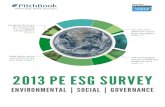 2013 PE ESG Survey
