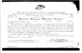 Maurice Williams - Certificate Portfolio
