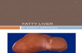 Fatty Liver - Handout