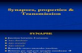 29.1.11 Lecture 7. Synapses, Properties & Transmission