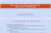 Breast Feeding Growth & Development