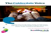 The Calderdale Voice Dec - Jan 2013-14 Issue 2