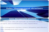 Sales Management Structure