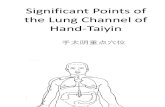 (11) Lung Acupoints