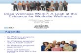 Do Wellness Programs Work - Chapman 2007