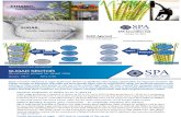 Sugar Sector - Sector Initiation Report - SPA Sec