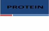 6. Protein (Part II) (1)